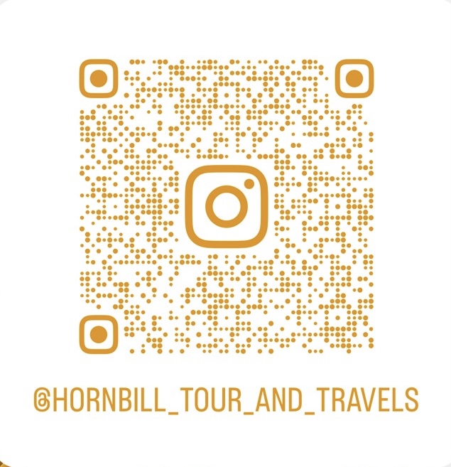 Instagram QR code for Hornbill Tour & Travels